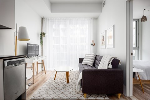 A living room with a grey couch and a television.