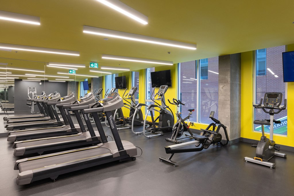 a gym with cardio equipment and weights on the floor