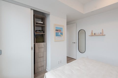 In-suite Custom Closet Organizers