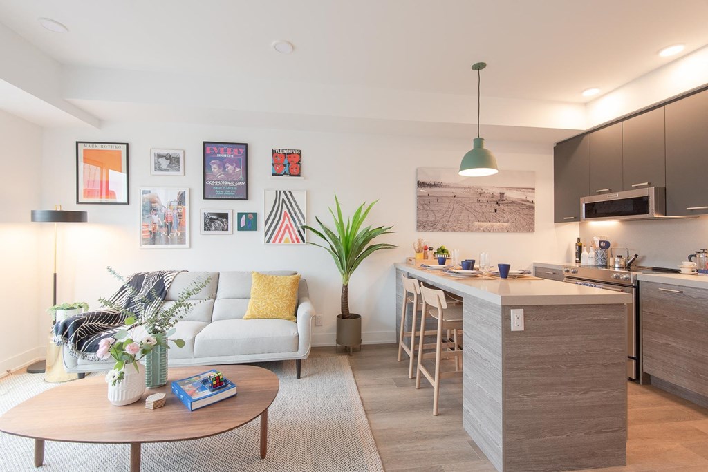 Open Concept Living Spaces