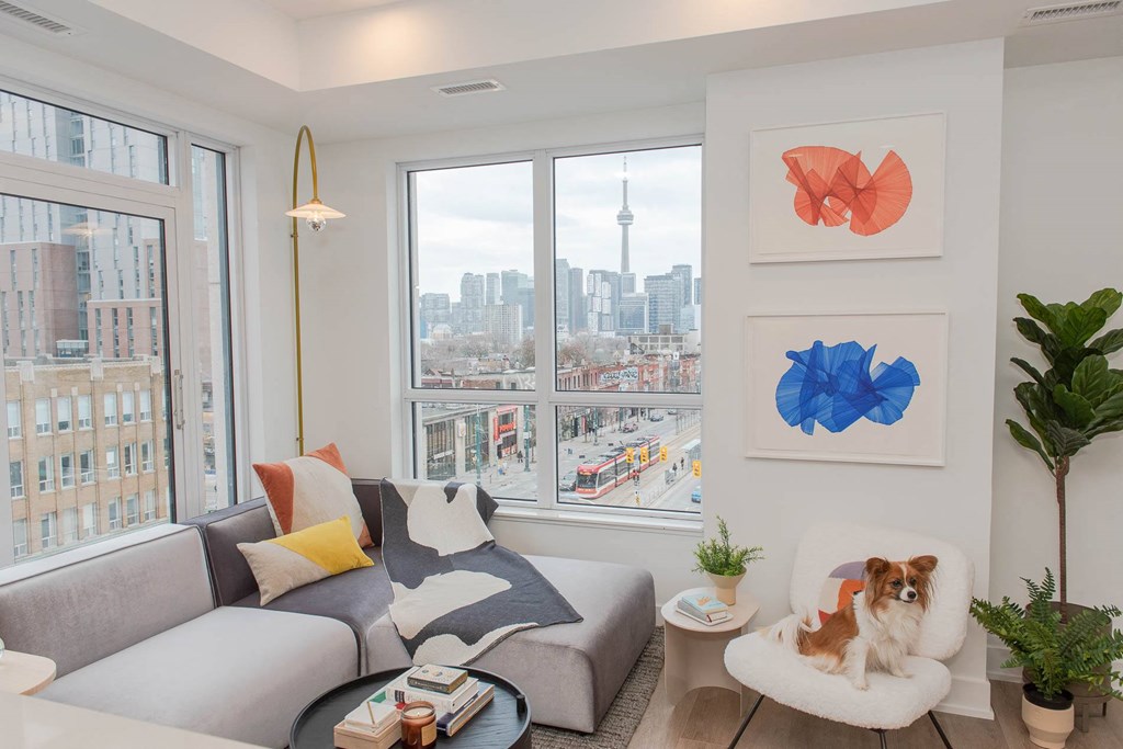 Bright & Spacious Living Spaces