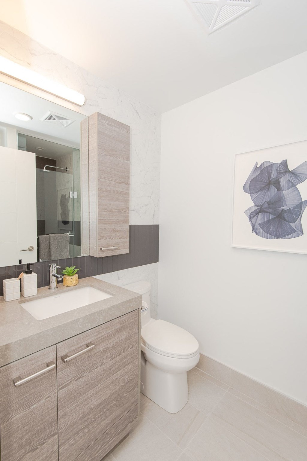 Quartz Counters & Wall Mounted Medicine Cabinet