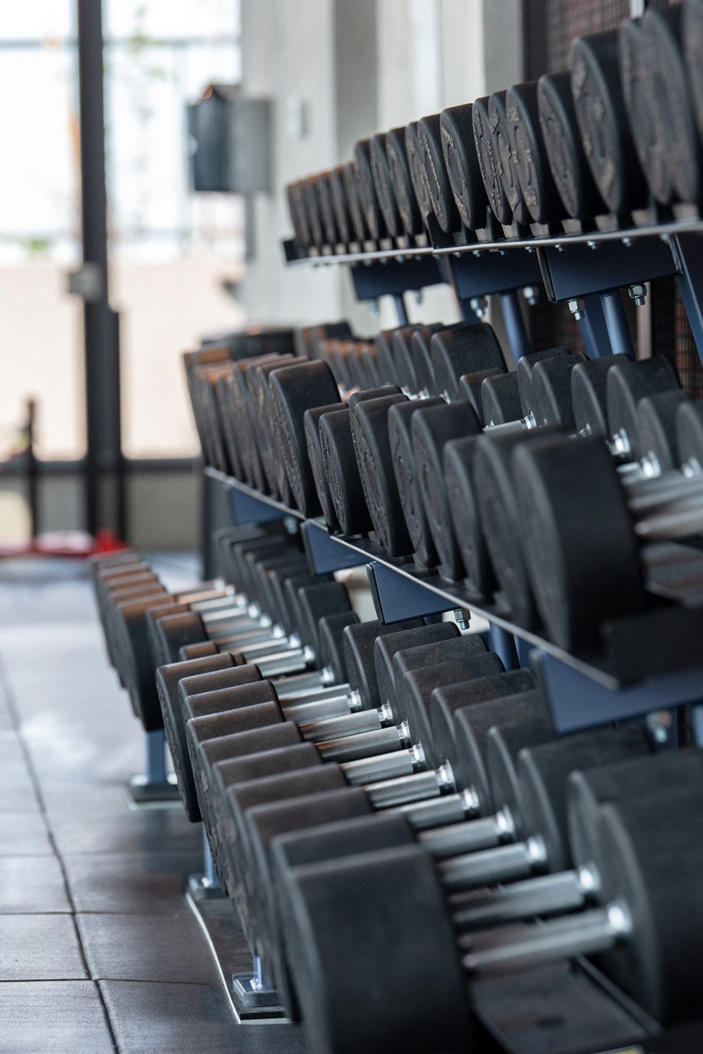 Commercial-Grade Penthouse Gym