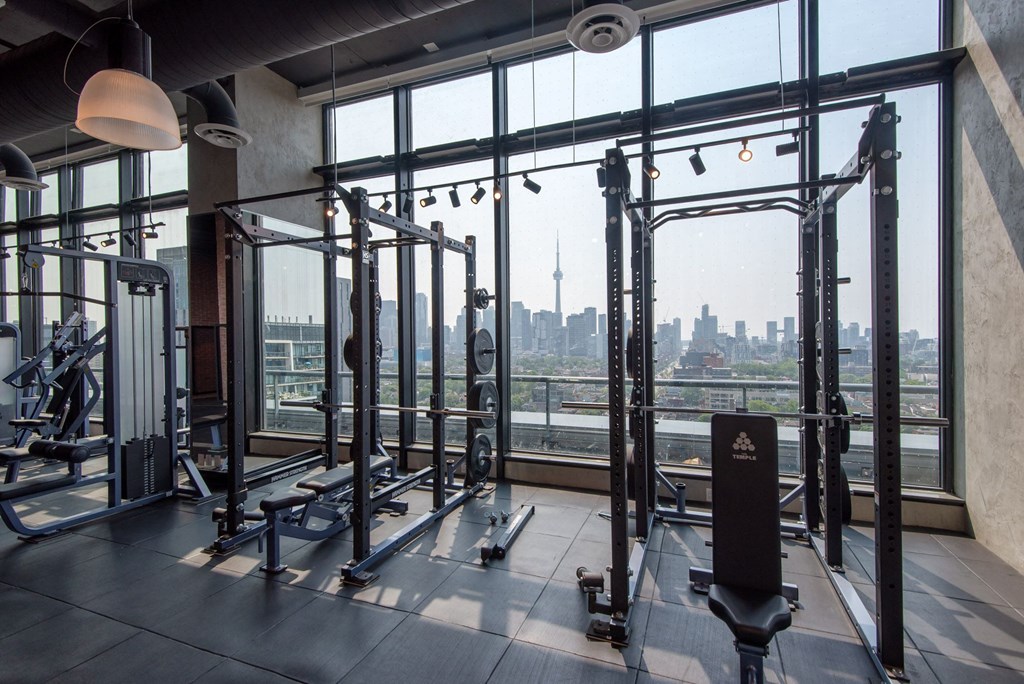 Commercial-Grade Penthouse Gym