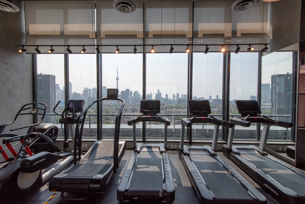 Commercial-Grade Penthouse Gym