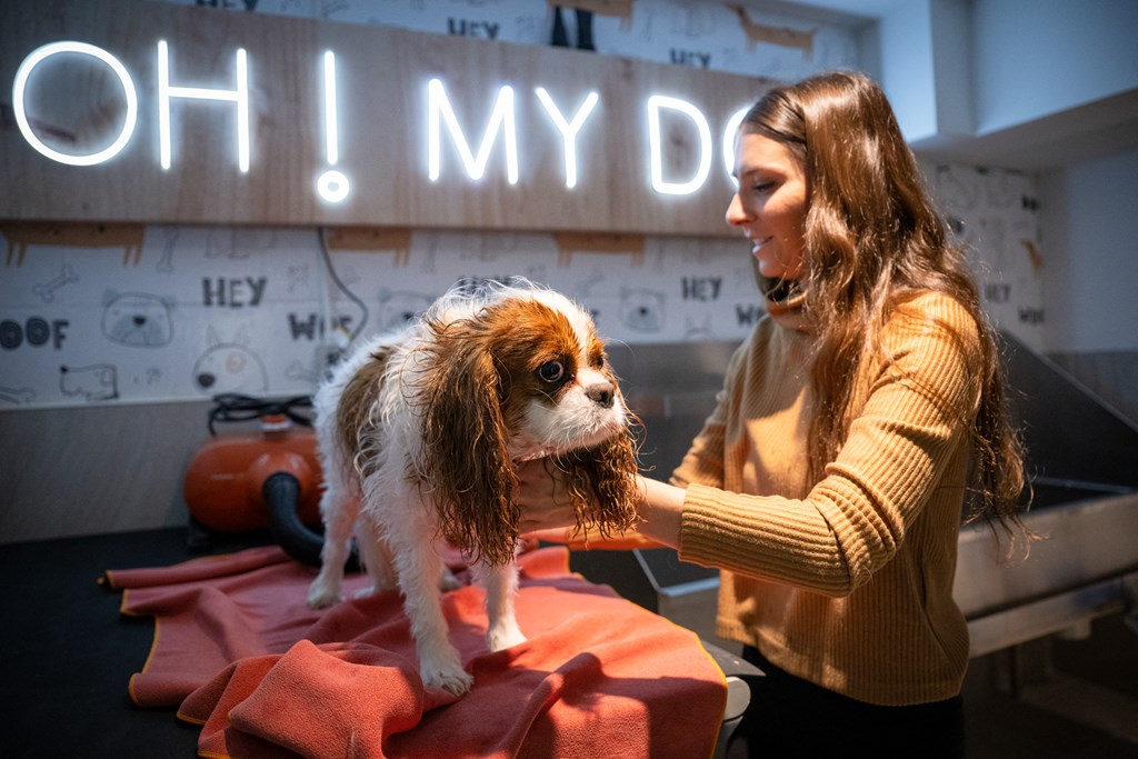 Beauty for the Beast - Pet Spa