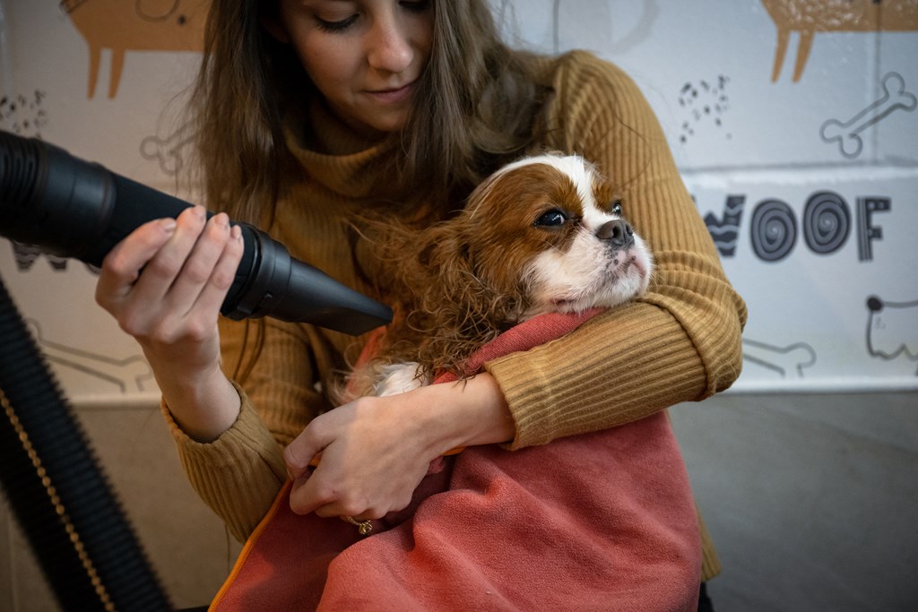 Beauty for the Beast - Pet Spa