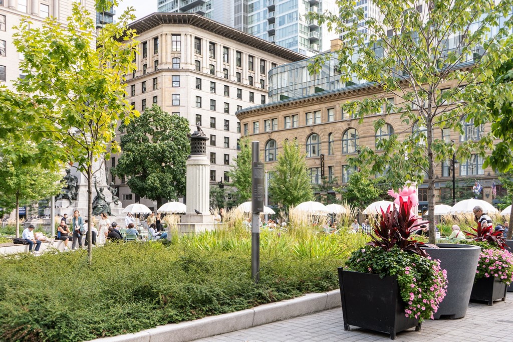 a park in the middle of a city with tall buildings