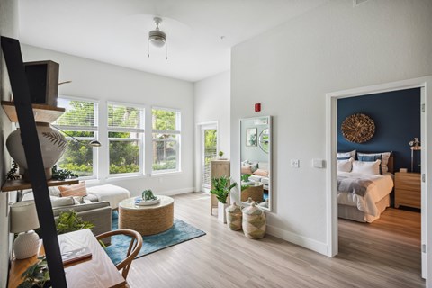 A living room with a white couch and a blue rug.