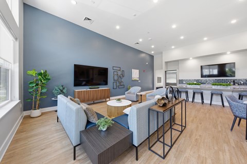 A modern living room with a grey sofa, a coffee table, and a television.