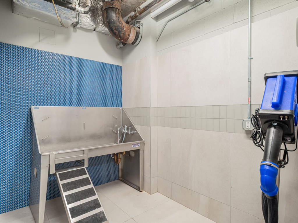 Pet Spa at One East Harlem Luxury Apartments in East Harlem, NY