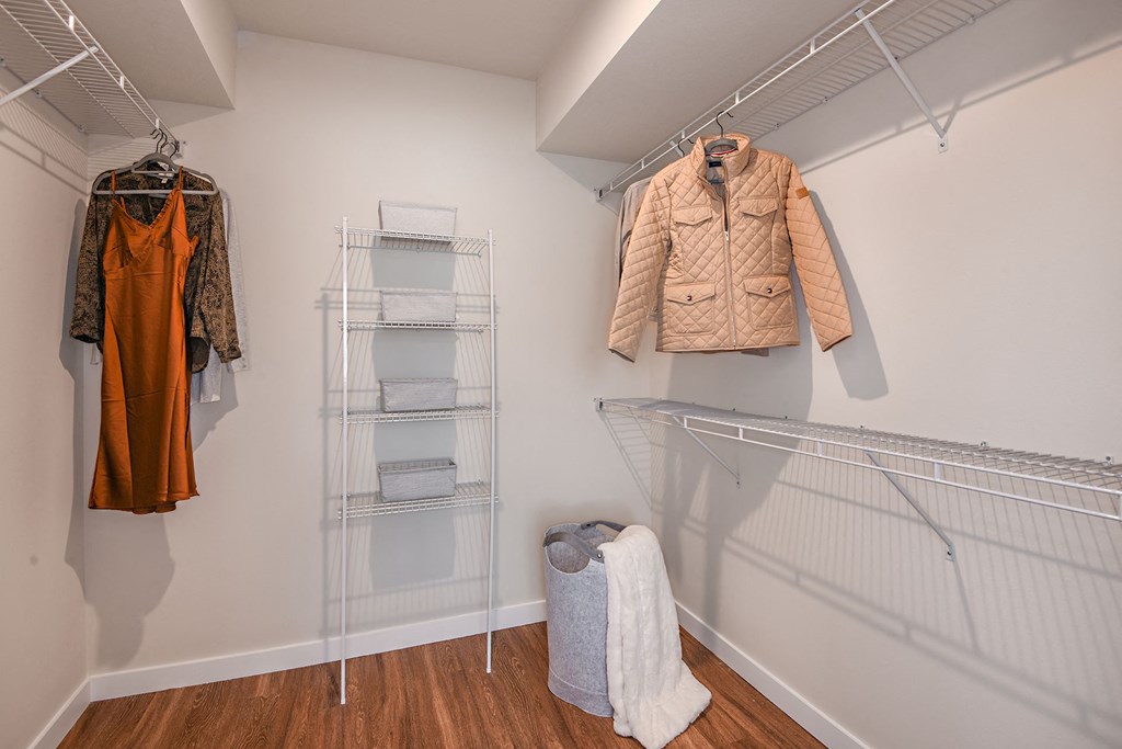 Walk-In Closet at Boca Vue Apartments in  Boca Raton FL