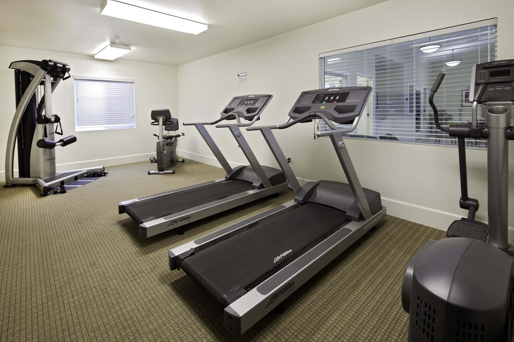 two treadmills and two ellipticals in the fitness room