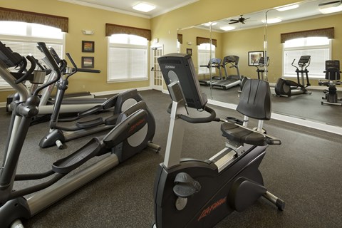 Fitness Center at Timberleaf Affordable Apartments in Orlando, Florida