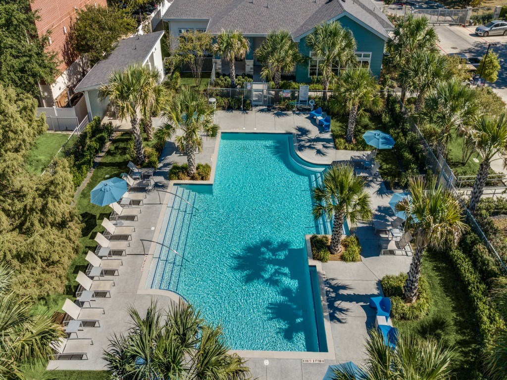A large swimming pool surrounded by palm trees and lounge chairs.