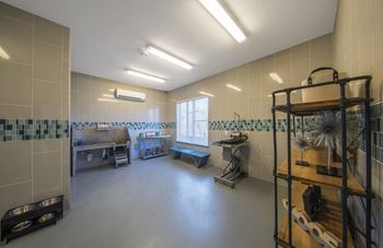 Pet Spa at Parc at White Rock Luxury Apartments in Dallas, TX