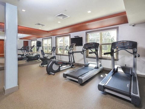 a gym with various exercise equipment and windows