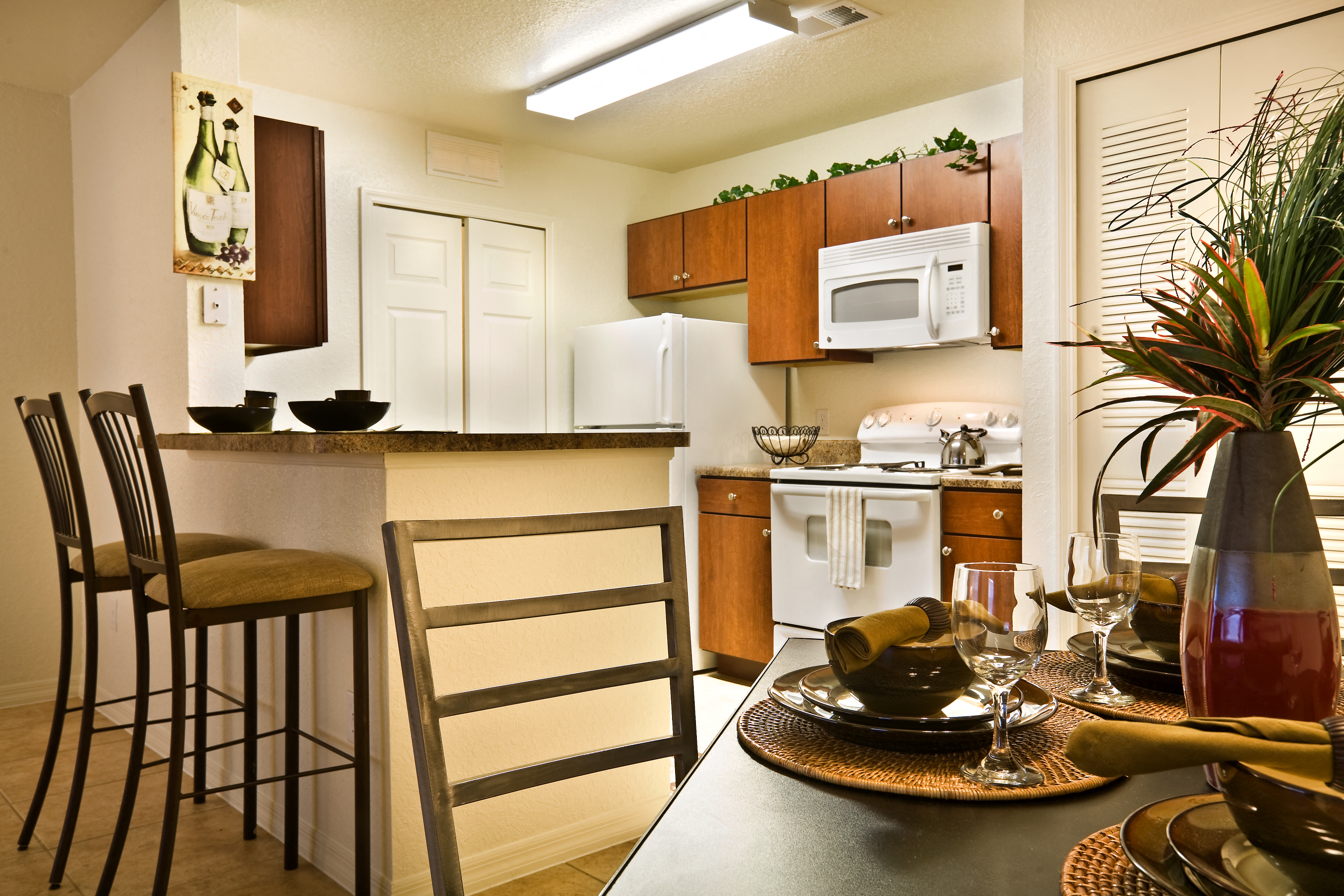 Fully Equipped Kitchens at Savannah Springs Affordable Apartments in Jacksonville FL