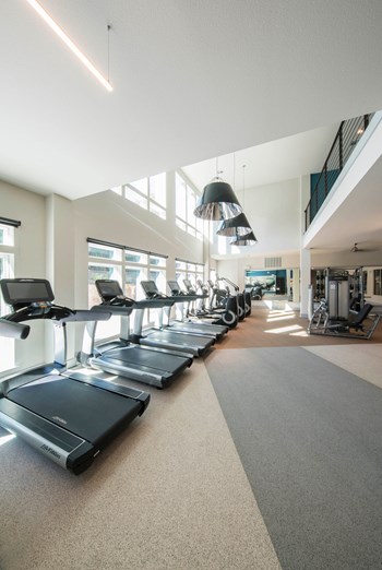 Professional Fitness Center at Parc at White Rock Luxury Apartments in Dallas TX - Photo Gallery 15