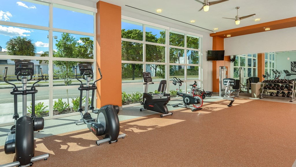 Professional Fitness Center at Allapattah Trace Apartments Miami FL