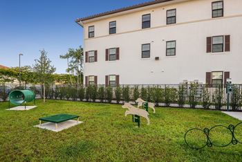 Enclosed Pet Park at Azura Luxury Apartments in Kendall FL