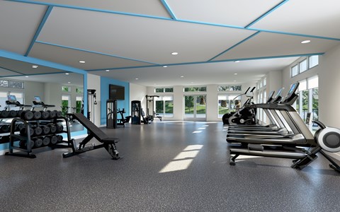 A gym with treadmills, weights and exercise equipment.