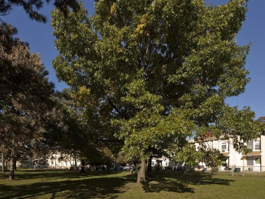 Florence Virtue Apartments, 37 Orchard Place, New Haven, CT RentCafe