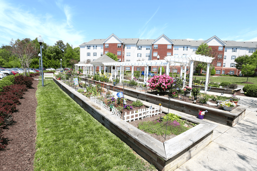 a community garden with a seating area and pergola