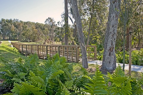 Walking Trails at Cristina Woods Apartments in Riverview FL