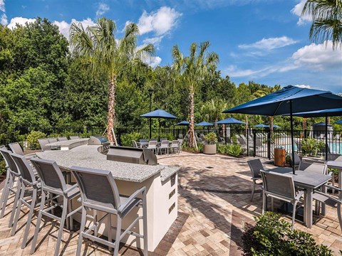 Summer Kitchen at The Morgan Luxury Apartments in Orlando, FL