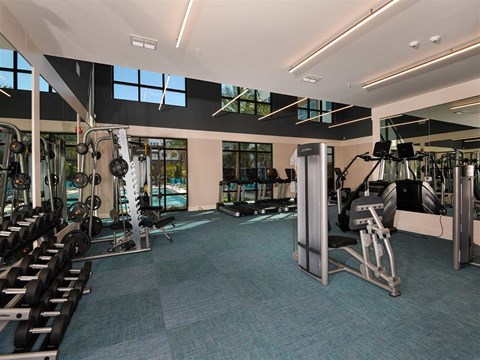Professional Fitness Center at Lyra Luxury Apartments Near Downtown Sarasota, FL