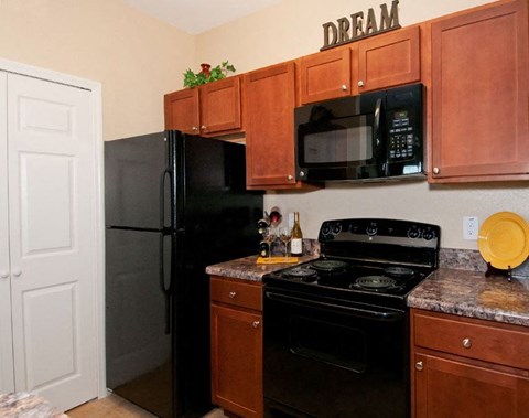 a kitchen with a black stove and a black refrigerator