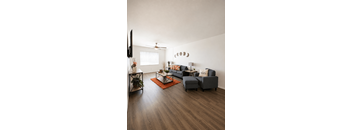 A living room with a grey couch, a black TV, and a wooden floor.