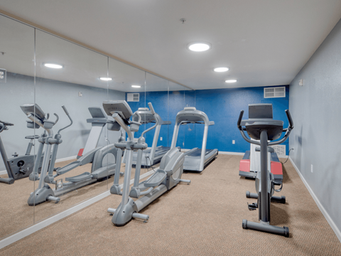 A gym with treadmills and elliptical machines.