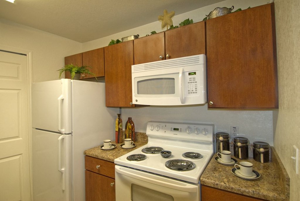Brandywine Apartments Kitchen Tampa, FL