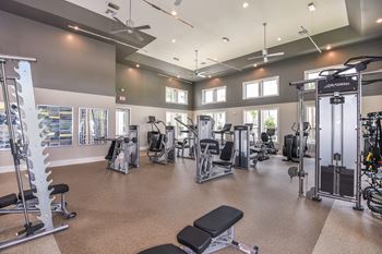 Professional Fitness Center at Lenox at Bloomingdale Luxury Apartments in Riverview FL