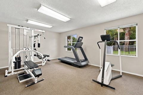 Fitness Center at Mira Verde Apartments in LaBelle FL