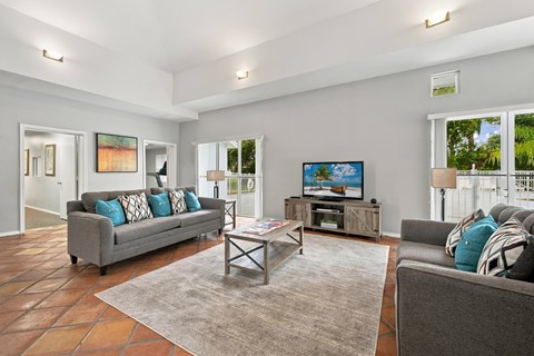 A living room with a grey couch, a coffee table, and a television.