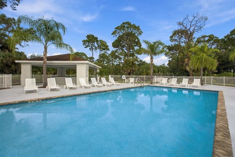 A pool surrounded by white chairs and trees.