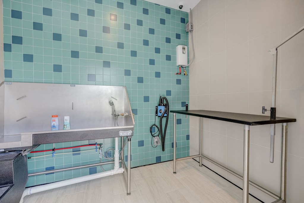 Pet Spa and Wash at Everly Luxury Apartments in Naples FL