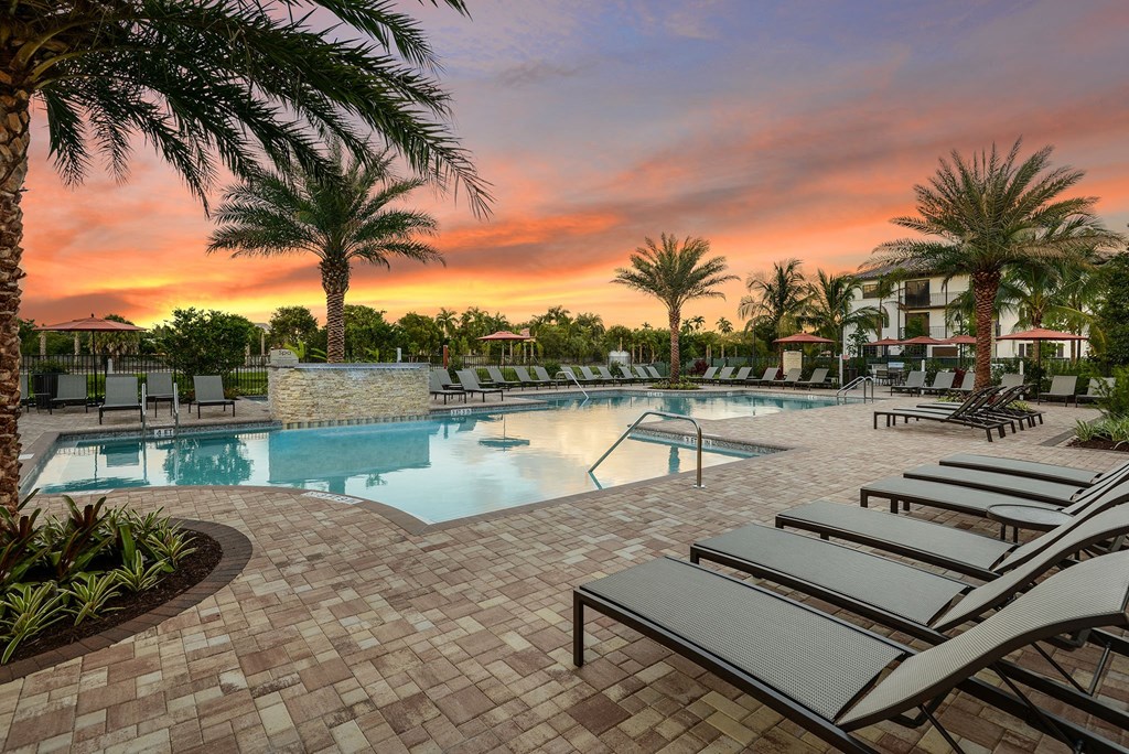 Swimming pool at Palm Ranch Apartments in Davie, FL