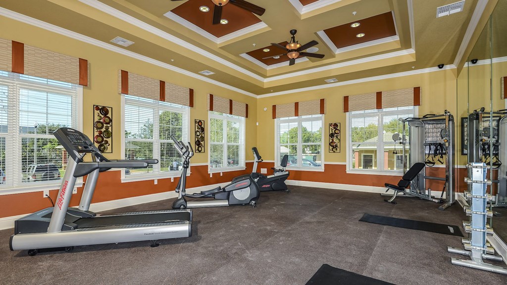 Fitness Center at Santos Isle Senior Apartments in Tarpon Springs FL