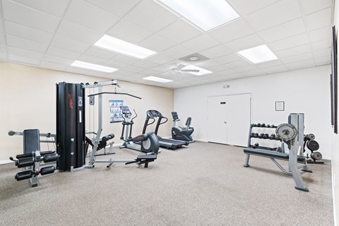 A well-equipped gym with a variety of exercise machines.