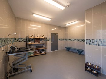 Pet Spa at Parc at White Rock Luxury Apartments in Dallas TX - Photo Gallery 3