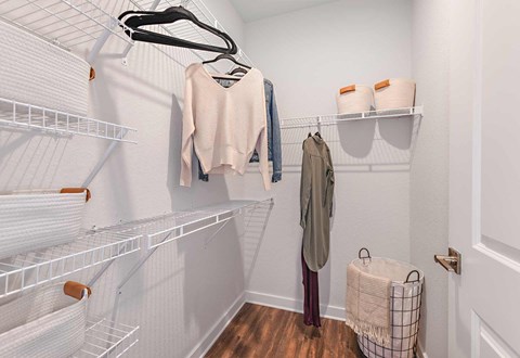 Walk In Closets at The Foundry Luxury Apartments in Tampa FL