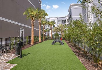 Fenced Dog Park at The Foundry Luxury Apartments in Tampa FL