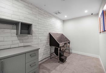 Pet Spa at The Foundry Luxury Apartments in Tampa FL