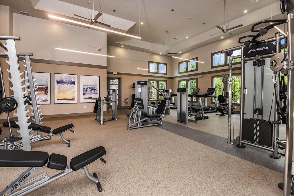 A gym with a variety of equipment including a weight bench, a squat rack, and a treadmill.