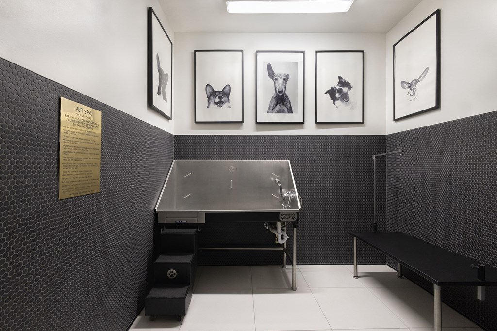 Pet Spa and Wash at The Marc Luxury Apartments in Palm Beach Gardens FL
