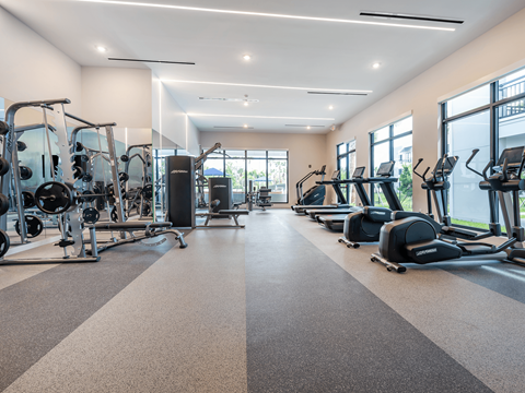 Apartments with a Gym at Marquee Square Apartments in Tampa, FL